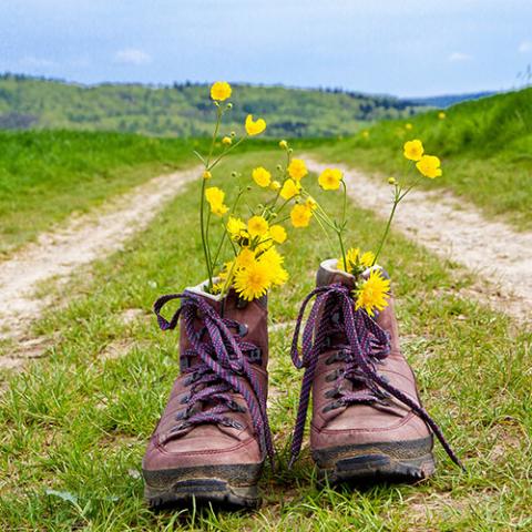 Team member card image