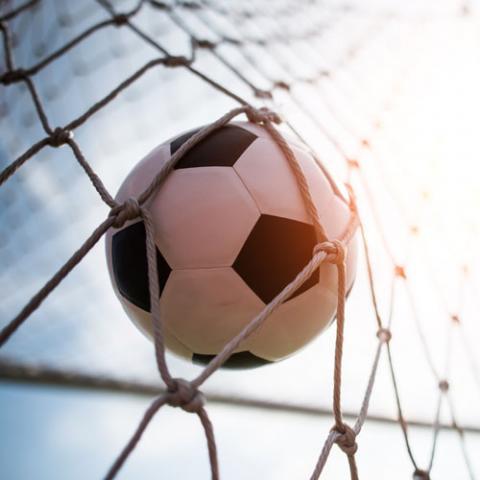 Team member card image