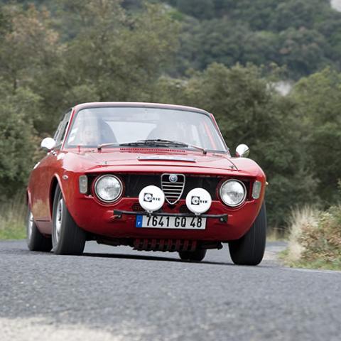 Team member card image