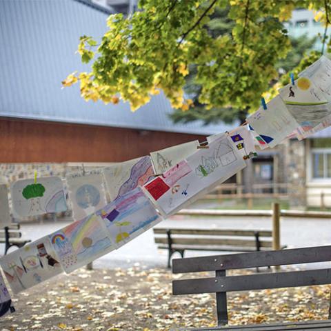 Team member card image