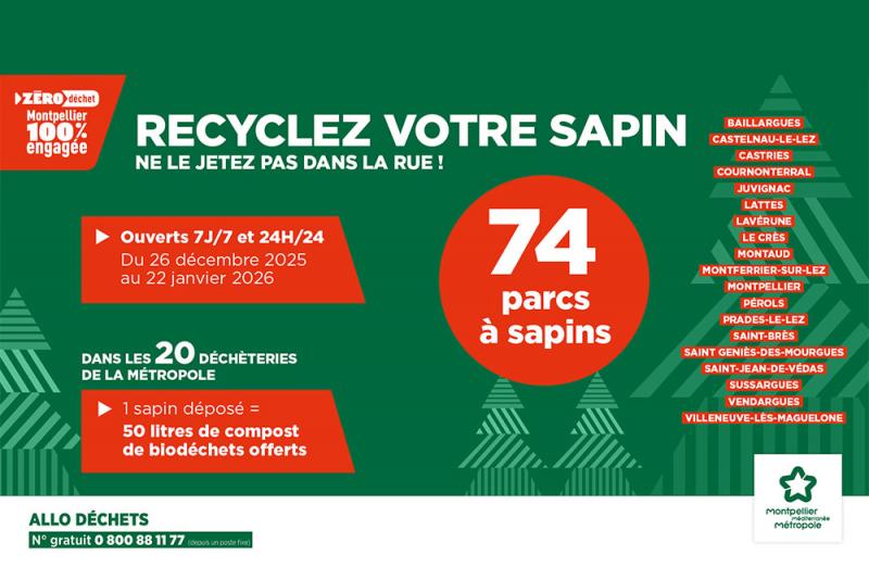 Recyclez votre sapin !
